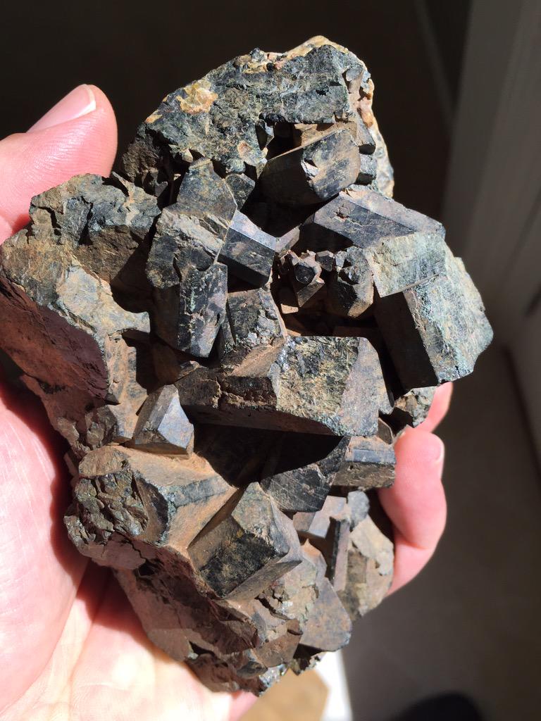 SteveInle's tweet photo. Here's a new &amp; unusual one..#Augite from a local #gemandmineralshow  .. #ilovecrystals #reiki #crystalhealing http://t.co/SDECDTG1yZ