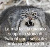 SognaeScrivi's tweet image. #twilight #stephenmeyer #libri ti piace vincere facile? Ponci ponci popopo #vincerefacile #squallore