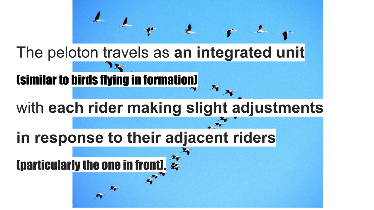 robertabrandao's tweet photo. #HFAinnovates Our instructional coaching model: ride in the peloton to improve skills+ knowledge+level up. http://t.co/JX7CkzP3di
