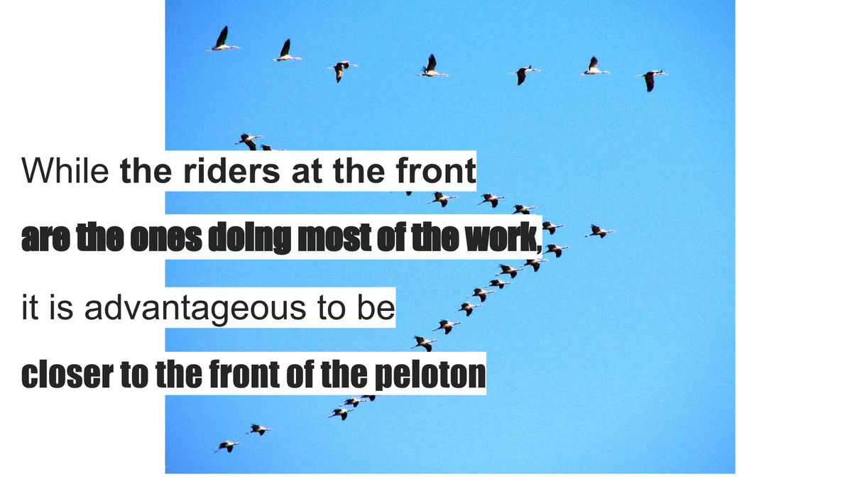 robertabrandao's tweet photo. #HFAinnovates Our instructional coaching model: ride in the peloton to improve skills+ knowledge+level up. http://t.co/JX7CkzP3di