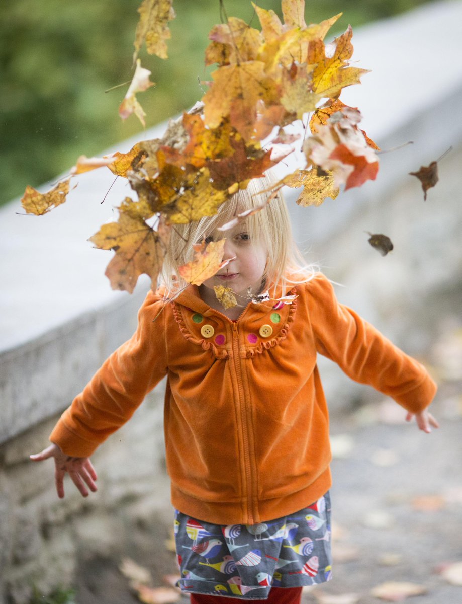 Fall is falling hard + with highs in 80s tomorrow, it's perfect time for a peek of peak color. Photos: @floresliz12