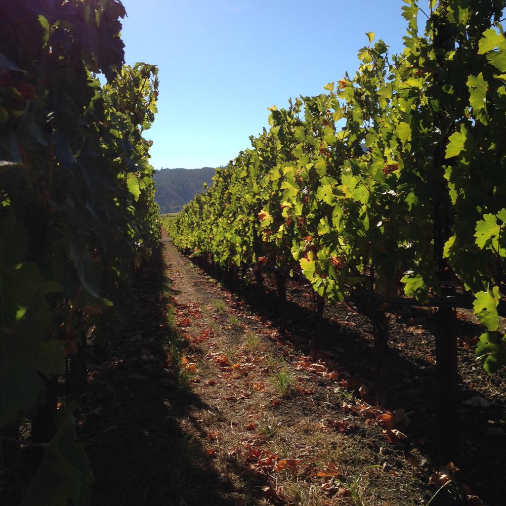 hellodavidryan's tweet photo. The range of startup life on display within the outliers of In &amp; Out through to Opus One. The #numainsf weekend off. http://t.co/baCwEnBUdN
