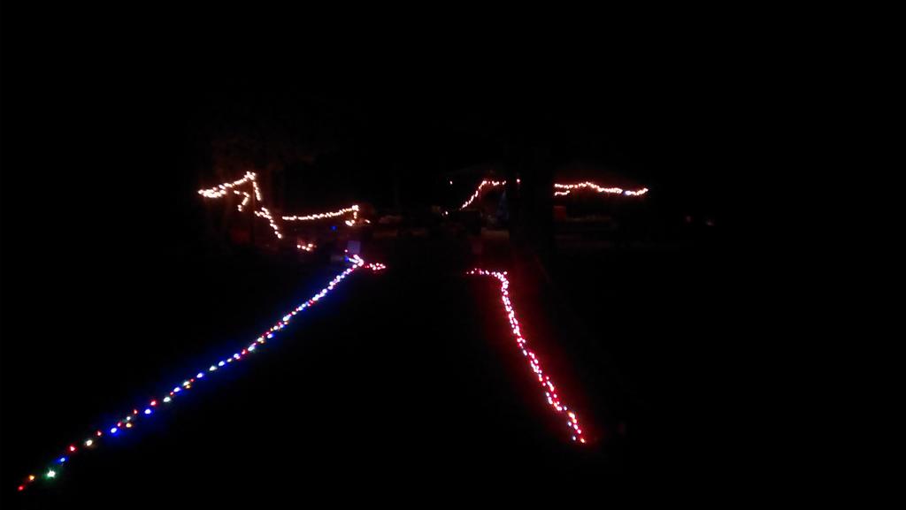 Trail Animals tweet media