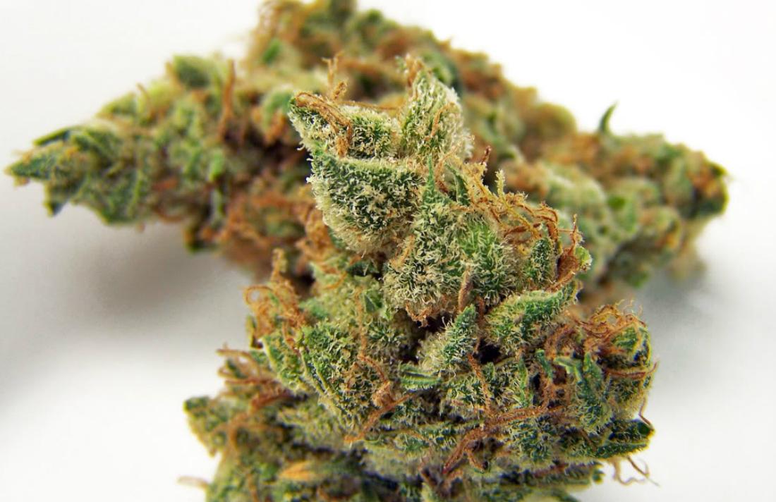CannabisCulture's tweet photo. Oregon Pot Stores Sell More than $11 Million in First 5 Days #Oregon #money #business  http://t.co/DbWoZ3SFSE http://t.co/FO39YNYKUm