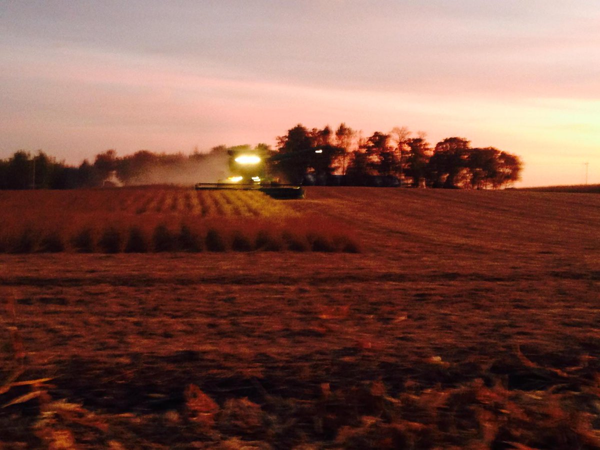 ddsmit13's tweet photo. Harvesting Centra Sota Watkins Soybean Plot. AG2035 67.6 by/acre @ASDK_MN_East #myyieldmyfarm http://t.co/rnLk5rJteI