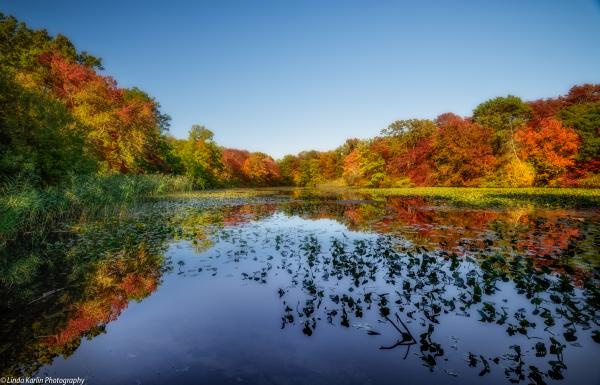 fall scenery fall scenery