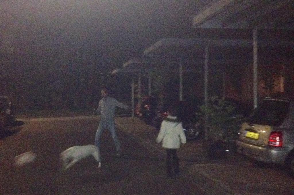 JAWpost's tweet image. Verjaardag. Vader, dochter en hond hebben iets veel beters te doen. #fathertodaughter #doglife  @FootballCulture