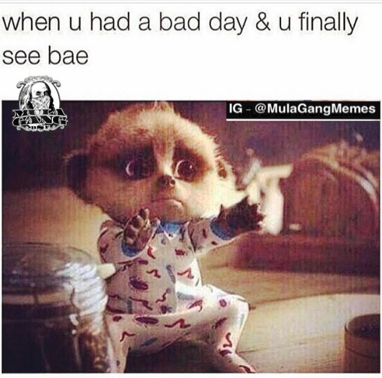 PostGradBows's tweet image. Or when you have a bad week and you think he's gone for two weeks and he texts you.