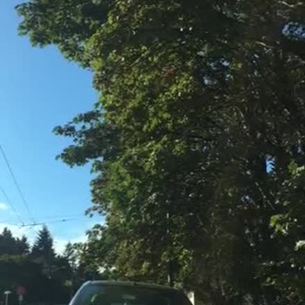 RufflesAndRain's tweet photo. |REPLAY| ‼🌺️A Quick Periscope Tip ‼️ & #OctoberScopers #90DPC 🌺‼️ #katch #Periscope http://t.co/ewwCWvI9mK http://t.co/Rv0BLcuf0A