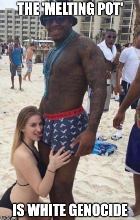 Black Nationalism IS Liberal Nazism wp.me/p2kmGE-2qi
 <a href="/stltoday/">St. Louis Post-Dispatch</a> <a href="/stlstitch/">Stitch</a> <a href="/oldpax/">paxson krause</a>