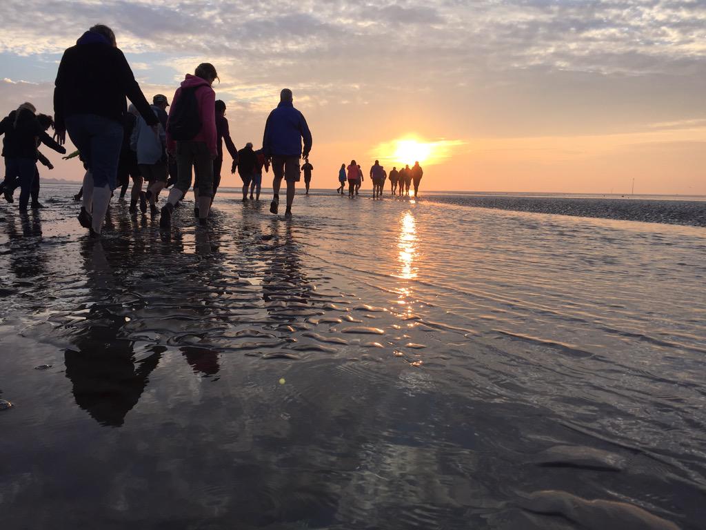 DGRecreatie's tweet photo. Zulke mooie wolken tijdens de #avondwadlooptocht uit #DenOever #Heerlijk @helgavanleur kan ook wel eens mee ;) http://t.co/tUqH4aYp15