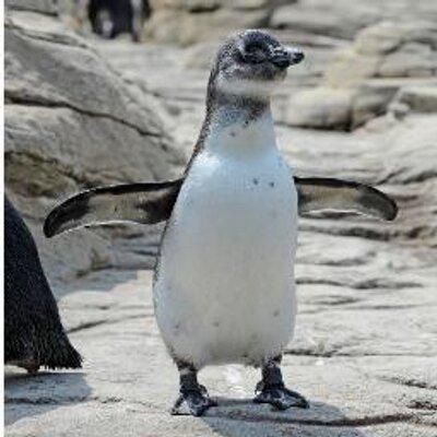 sirajs0l's tweet photo. #911WARNING #WARNING #OPISIS #WARNING #FALSEFLAG #AMDOC #BREACHED #ATTVERIZON #URGENCE #IN… http://t.co/uyRvILr3SI http://t.co/CqF74ZuFZW