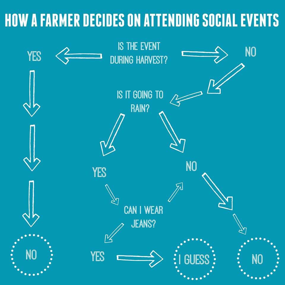 Doug Helm tweet media