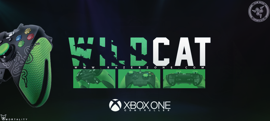 Mortality eSports tweet media