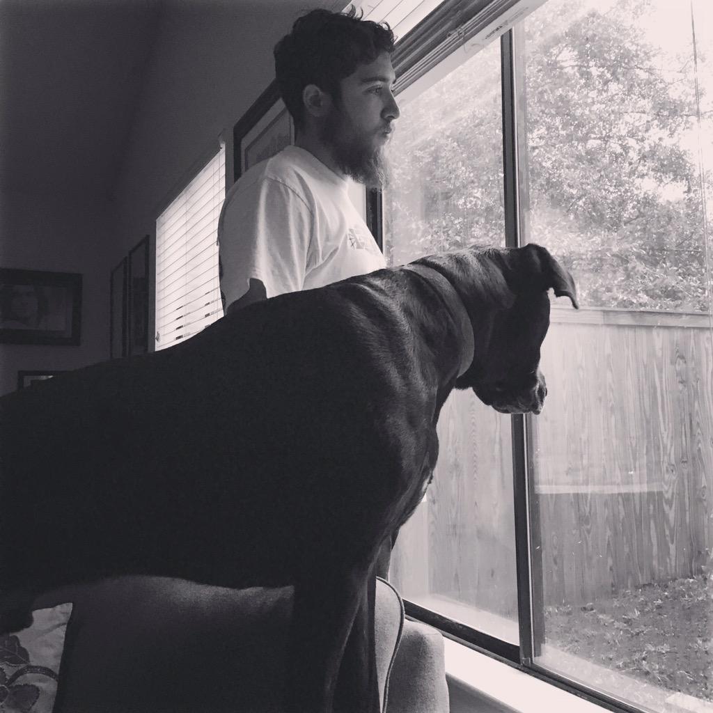 emilyeeverett's tweet photo. Couch. Netflix. Observe flooding. Repeat. In need of doggie rain boots. #chswx #sneefarm #instadogmiles http://t.co/ppSD7SSNCz