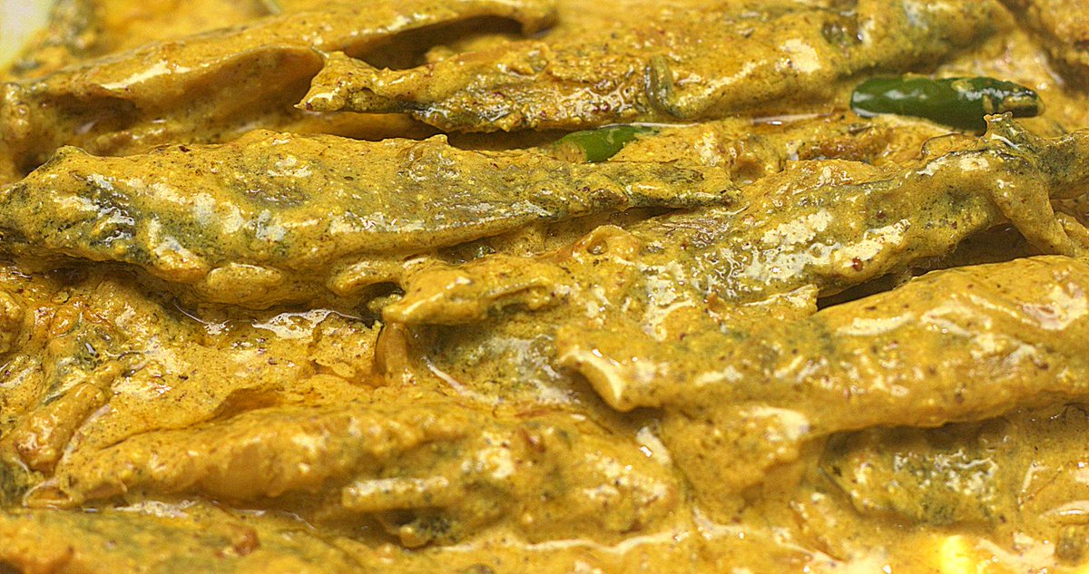 KhubKhao's tweet photo. #GuessWhat!
Tengra #Fish (Mystus Tengara) curried in hot Yellow #Mustard sauce & Green Chilli. #UltimateDelicious http://t.co/AO3ec94wln