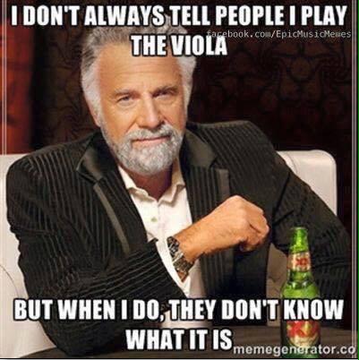 shitviolistsay's tweet photo. Pretty much sums up when I meet new people and I tell them I play viola. #smh 😒 http://t.co/RVh8edzjyf