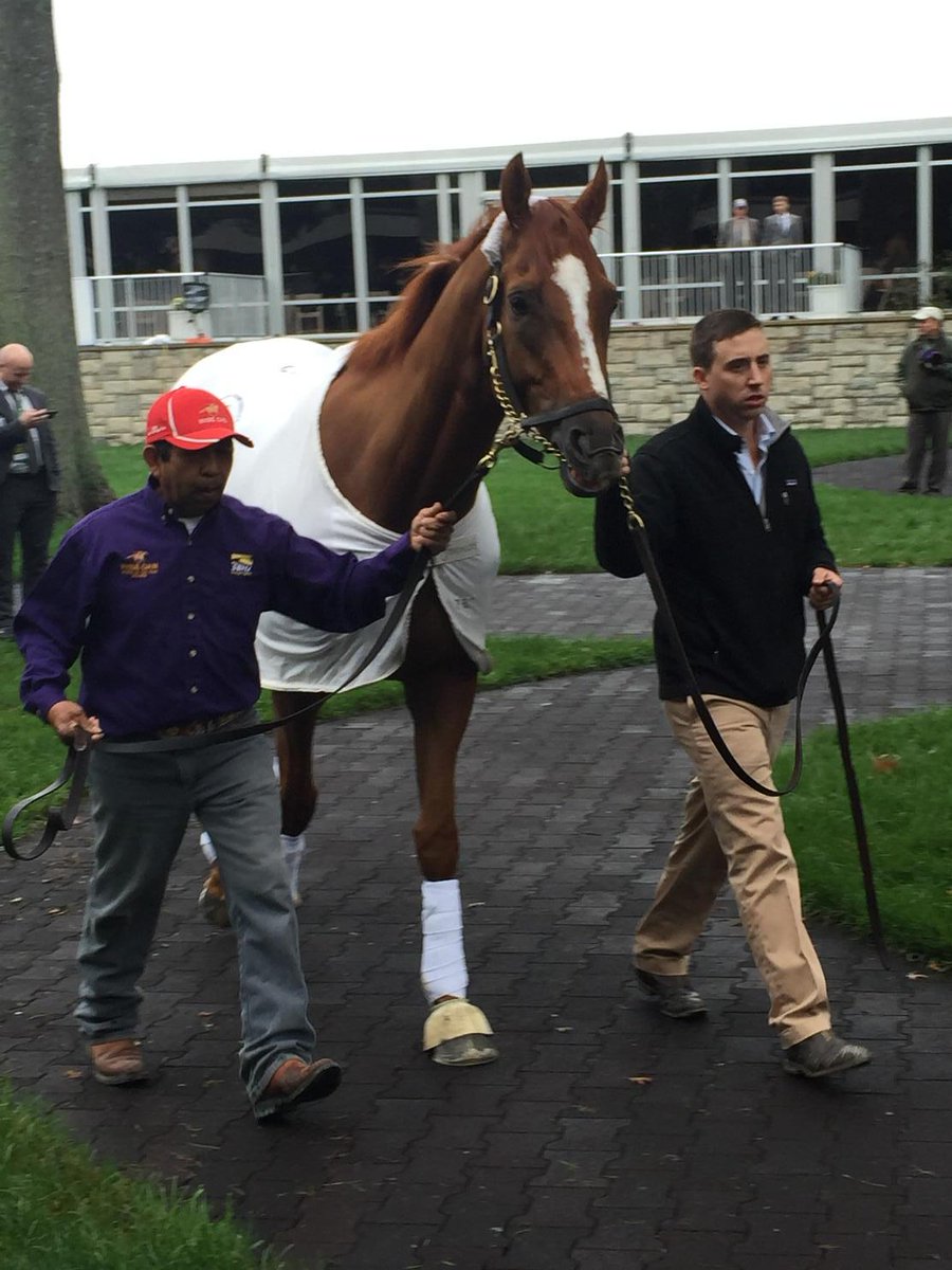 .<a href="/WiseDan_/">Wise Dan News</a>