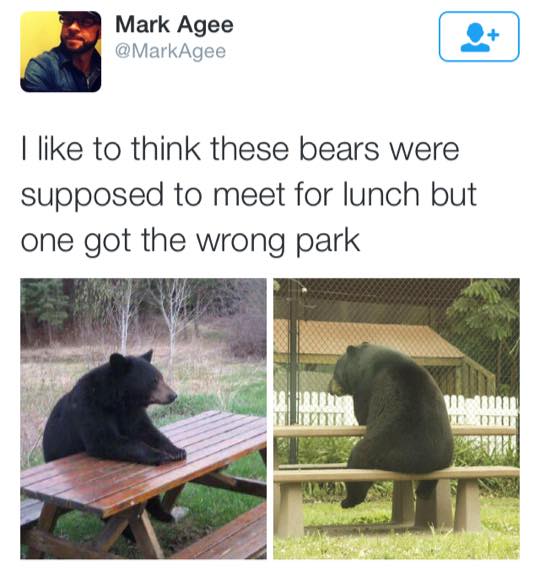 CauseWereGuys's tweet photo. Heartbreaking http://t.co/6m7F5bTb8b