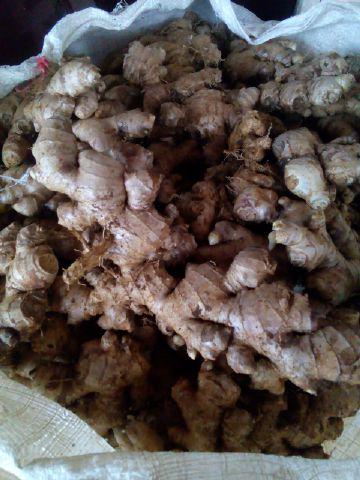 ovansantos's tweet photo. @gudangUKM ,barang kali ada yg minat.. http://t.co/3FZDUV7Qj3