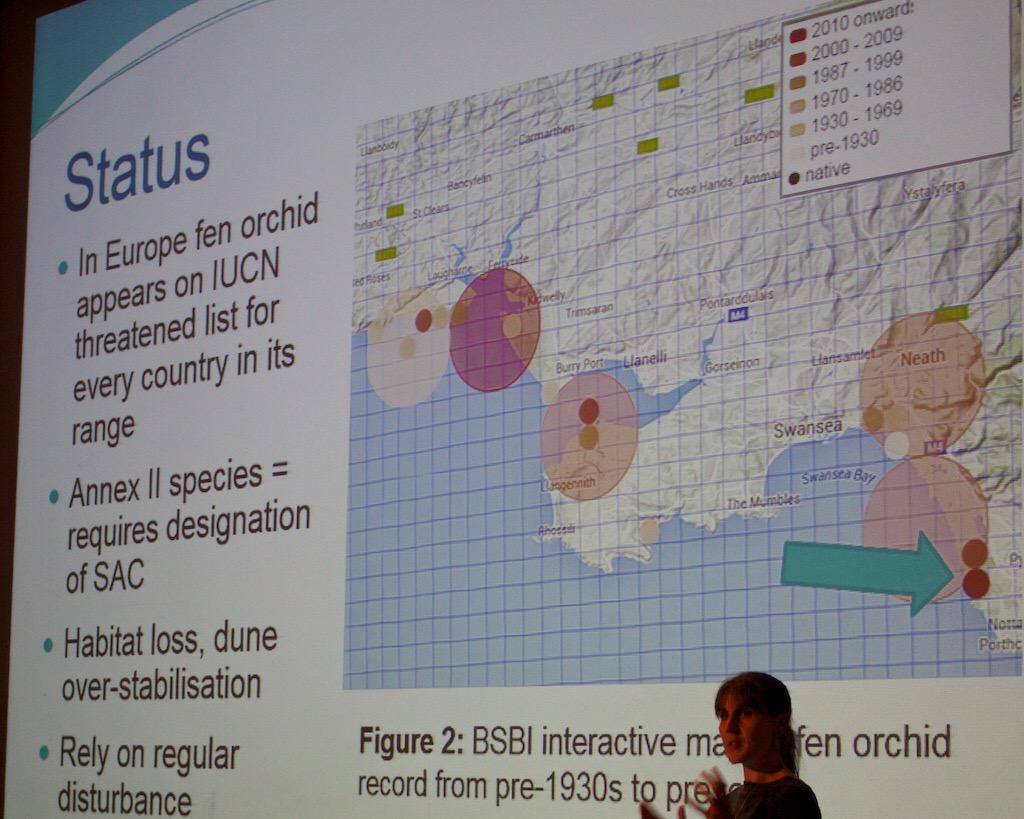 CardiffCurator's tweet photo. Dr Wendy Harris of @SwanseaUni on "where are the best places to reintroduce Fen Orchids?" Today at Unknown Wales http://t.co/2HnXzGp9qp