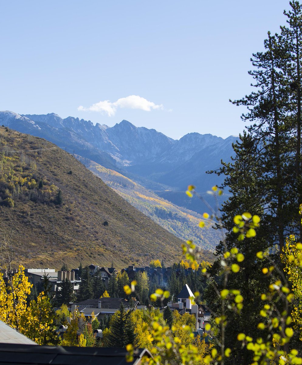 Kari_Mohr's tweet image. Light snow but still snow! Grabbed the #Canon 100-400mm lens for these. #Vail #GoreRange #cowx