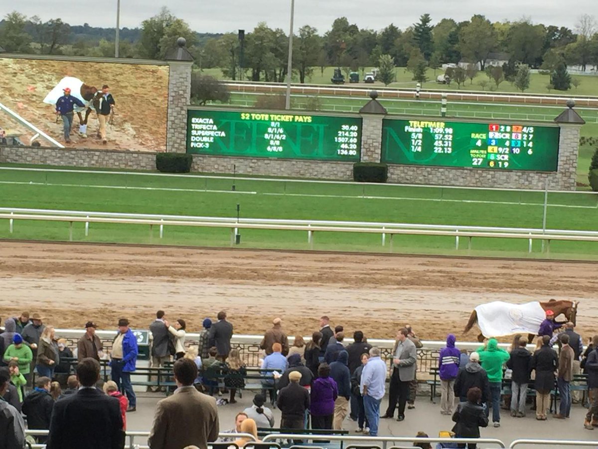 .<a href="/WiseDan_/">Wise Dan News</a> headed back home.  Thanks for the memories handsome, talented boy!!