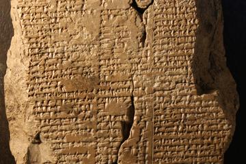 Daniel Zuckerbrot tweet media