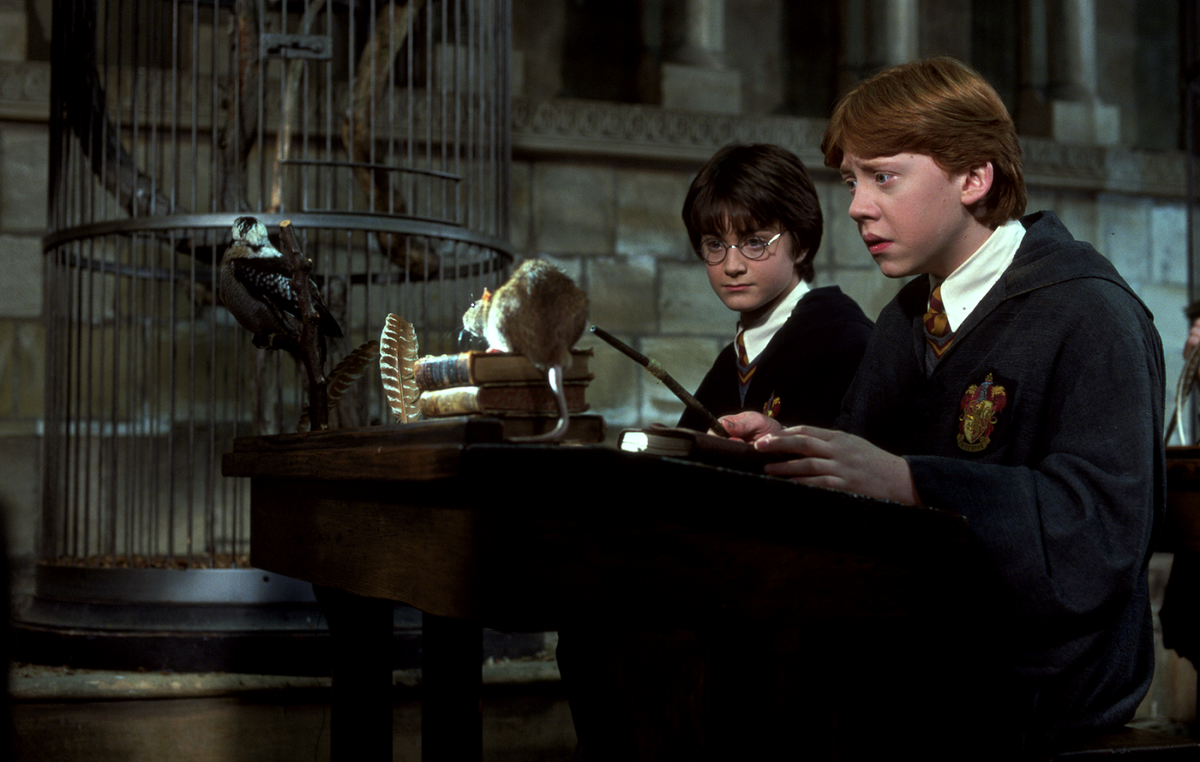 harrypotter's tweet photo. "Fera Verto!"
Is it supposed to have a tail? 
October is the perfect month for #Transfiguration! #HarryPotter http://t.co/ywqyofwn4s