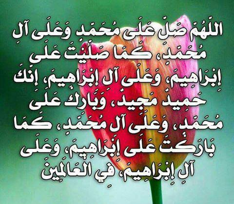 malghryb0's tweet photo. @huzufusuruzu201 @ALkingmbb @wwwfecbookgmaco @b0ehWuhanvX2dif @aldaraajy @anoosad6 @rasoool1964 http://t.co/g3wNSpNM0T
