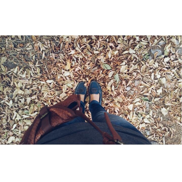 yulia1743's tweet photo. #instasize#скрябін
а під ногами вже нападало листя, то осінь. ©скрябін http://t.co/k3DQyNKtXP