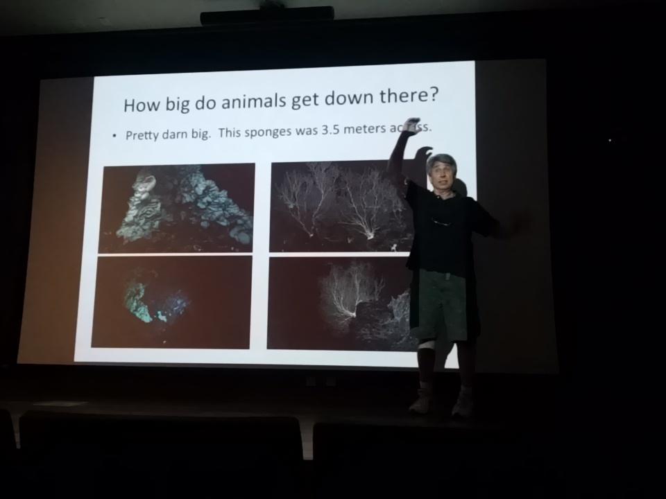 Maire_Schultz's tweet photo. How big is the world's largest sponge? 3.5 meters (over 10') #NOAAworkshop http://t.co/CU1QPAiSvh