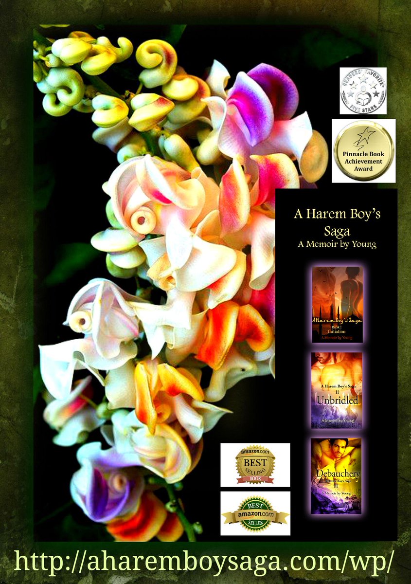 YoungFoong8's tweet image. amzn.to/1FMlHVY memoirs definitely send an #Enlightening &amp;amp; #APositiveMessage 2 the world. @Rave_ReviewsBC