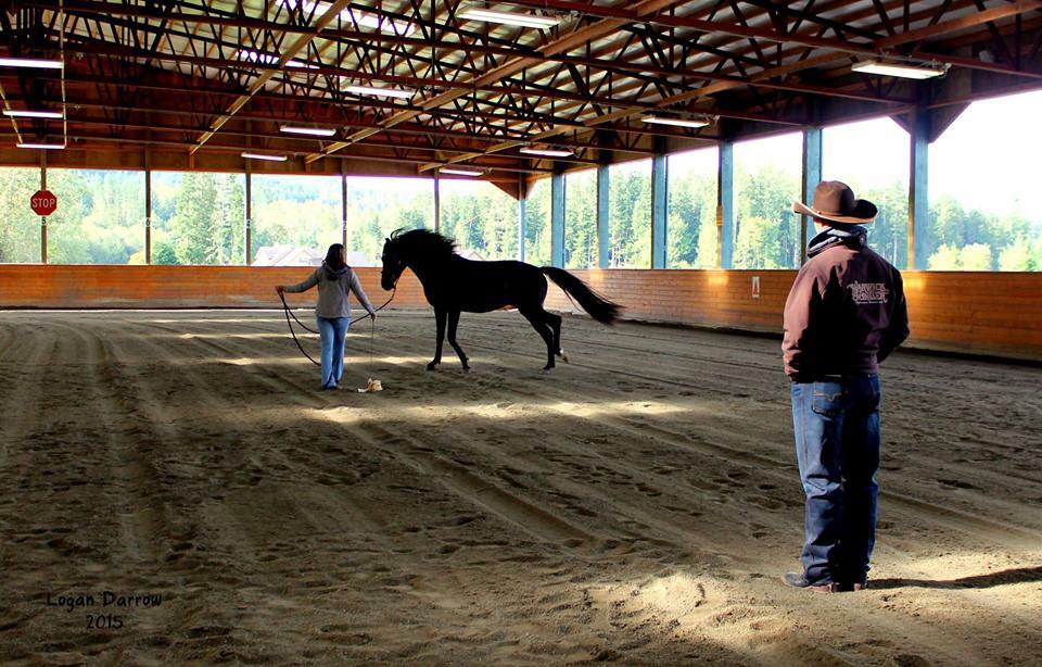 yourfirsthorse's tweet image. RT @WarwickSchiller "Love helping people with their horses!  #kimesranchjeans #horsetraining #horses http://t.co/fFz7BpvUoA"