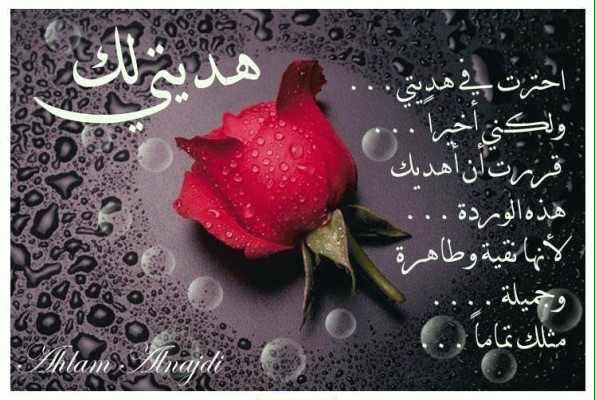 galaldamt's tweet photo. @shehorh http://t.co/pVHn6xxl2x