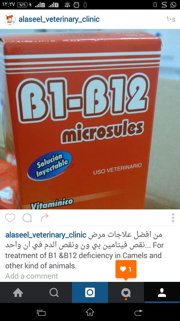 الاصيل البيطرية (@fangama83) on Twitter photo 