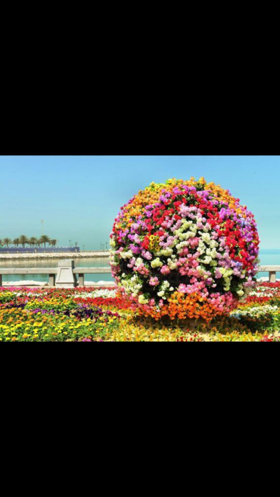 yahya_a66's tweet photo. صباحكم صباح. مخملي. يتقلب بين حدائق.  الذكر ليخيط من انوره.  ذكرا معطرا با السعاده يكتسي💐🌹💐 http://t.co/fgHpkQLVuN