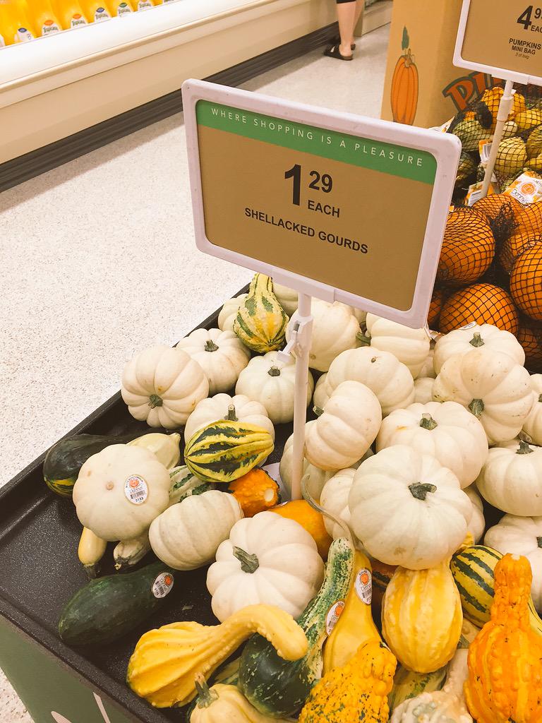 What does one do with a shellacked gourd?