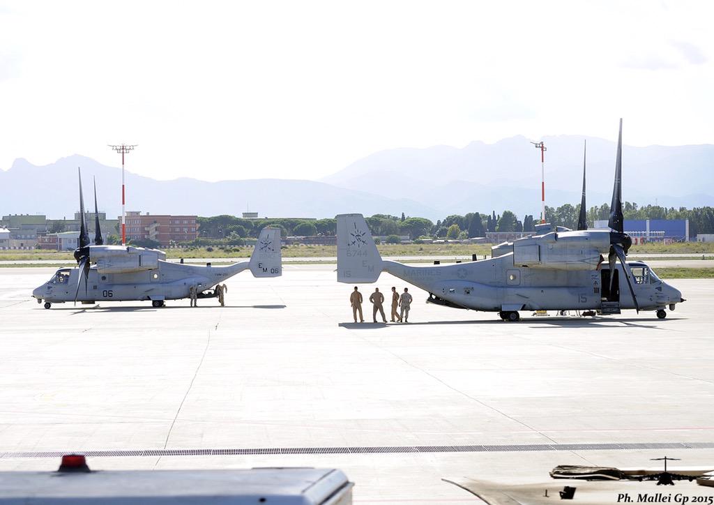 Piti Spotter Club tweet media