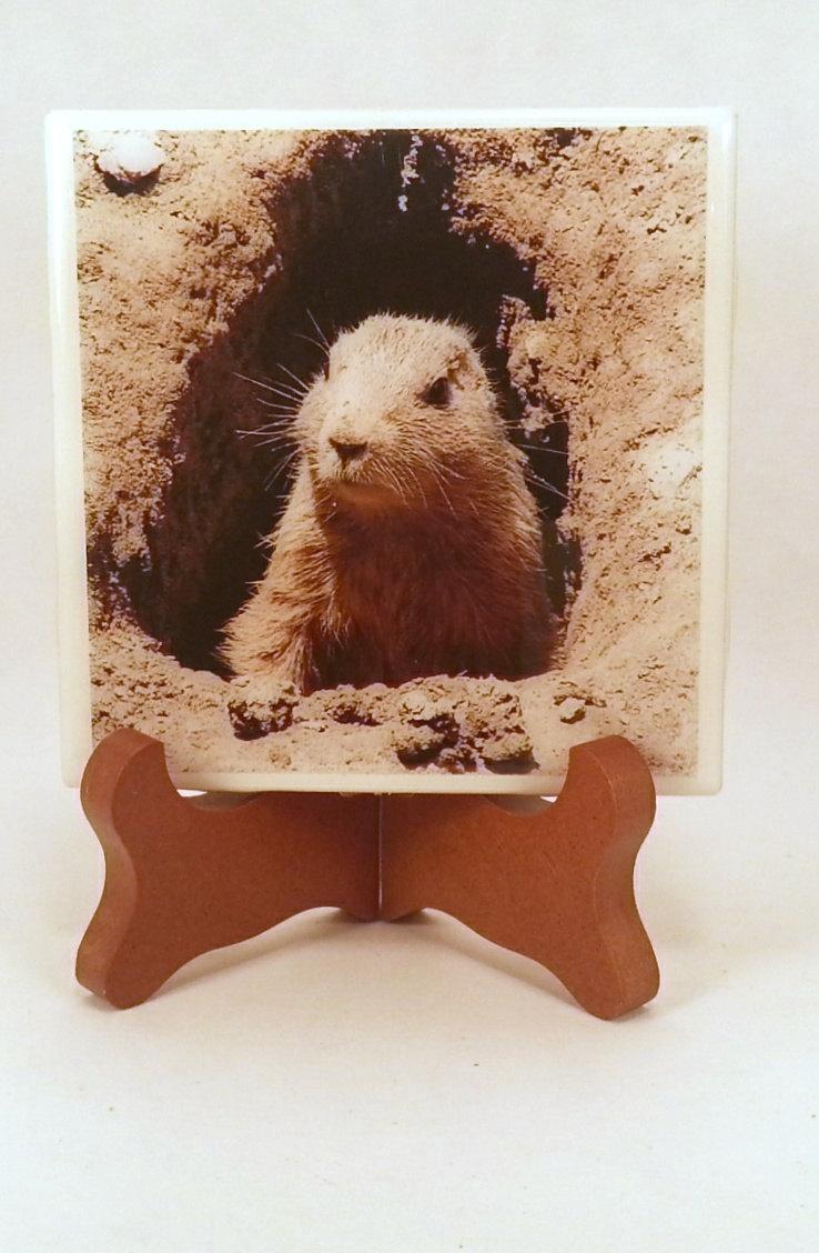dovesclosetinc's tweet photo. Handmade Photo Coaster Prairie Dog 0056C http://t.co/yPjT3PqPYK #Etsy #HandcraftedCoaster http://t.co/J3floEIFKz