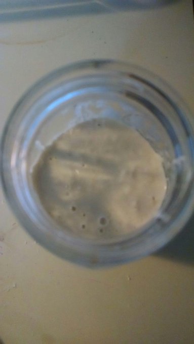 From natural yeast starter to sourdough bread. Sourdough starter from fresh Washington apples (1 week