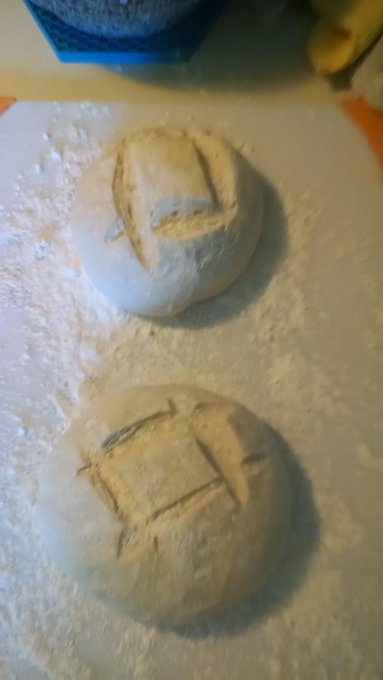 From natural yeast starter to sourdough bread. Sourdough starter from fresh Washington apples (1 week