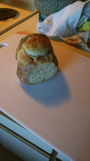 From natural yeast starter to sourdough bread. Sourdough starter from fresh Washington apples (1 week