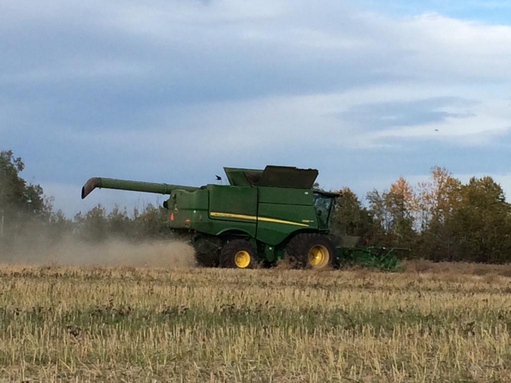swfisherfarms's tweet photo. Another year in the bin, Wrapped up #harvest15 #producer http://t.co/728pBst1Zw