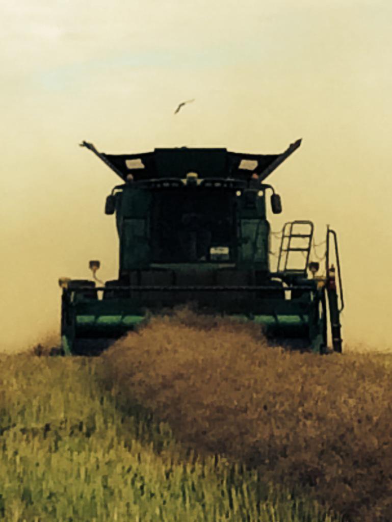 swfisherfarms's tweet photo. Another year in the bin, Wrapped up #harvest15 #producer http://t.co/728pBst1Zw