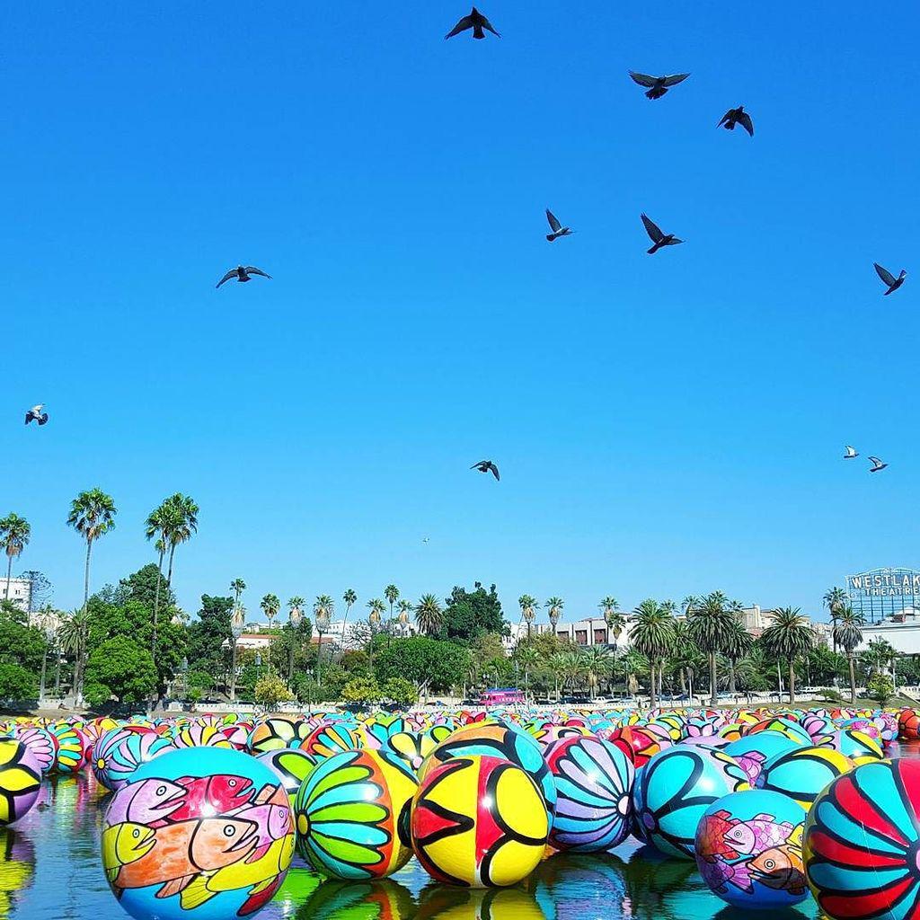 davidtedu's tweet photo. #losangeles #macarthurpark #art #publicart #cool #davidtedu #cameraisfixed http://t.co/rfdBChzCSo