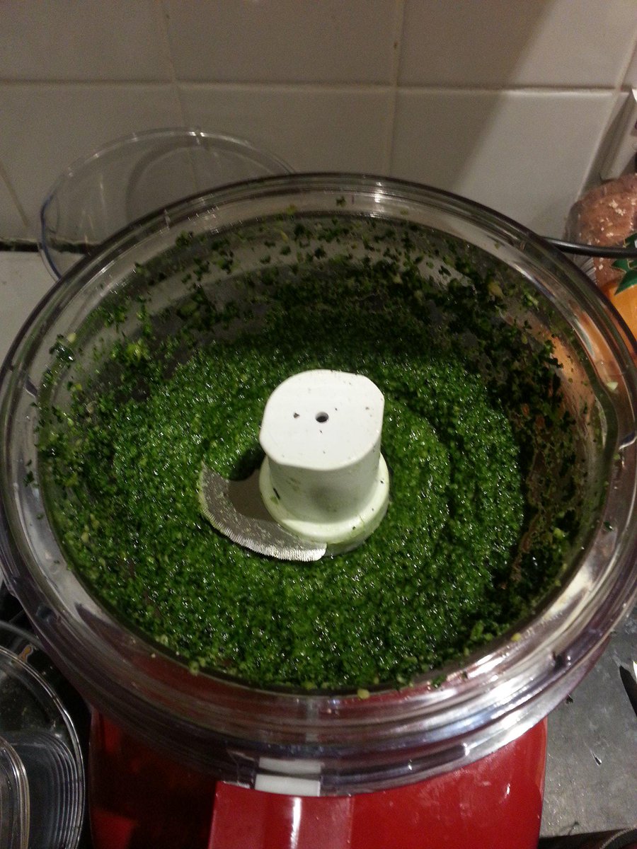 DromaiusGarlic's tweet photo. Using up the last of the kale in a green garlic pesto, should keep  us going. Here's a trial batch http://t.co/kFXPn5tvwY
