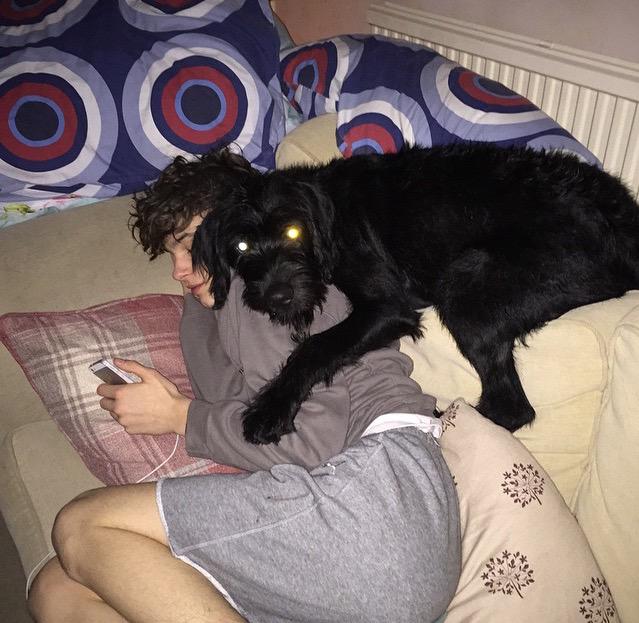 UghShvt's tweet photo. Gonna sleep soon. 
Me ft a dog http://t.co/zjMIxysILj