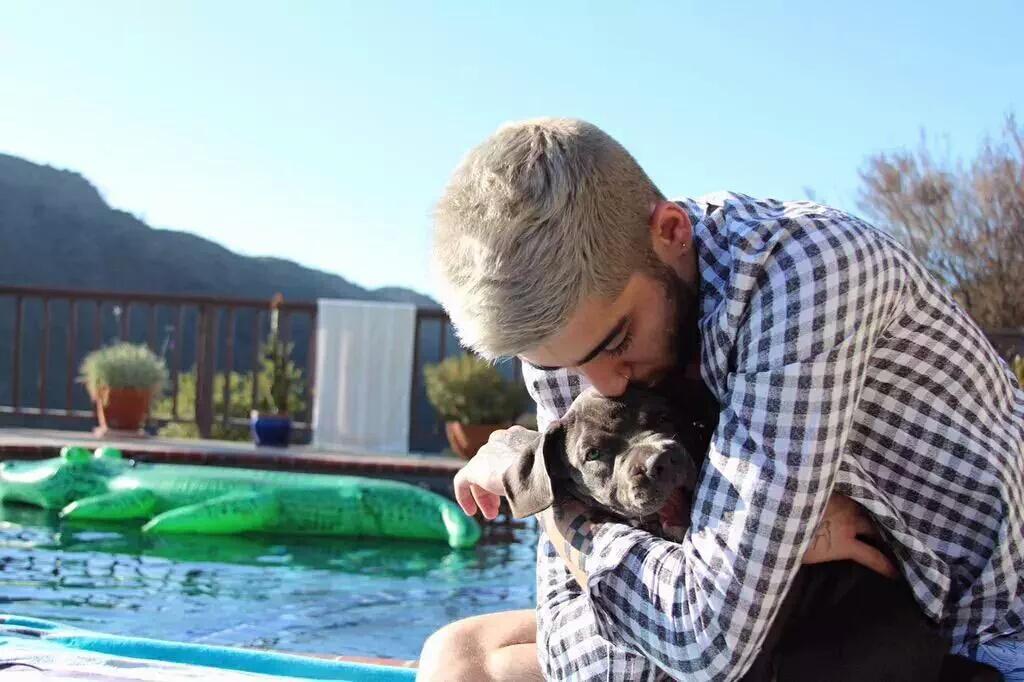 CUPCAKE_MEEEEEi's tweet photo. フォロワーさん増やしたいのでRTしてくれると嬉しいです♪🙏💗
#Zayn Malik大好きな人ＲＴ
#DirectionersRT 
#これからもZayn応援する人RT 
#RTしたDirさん全員フォローする  
#相互希望 http://t.co/5i2NvNBP42