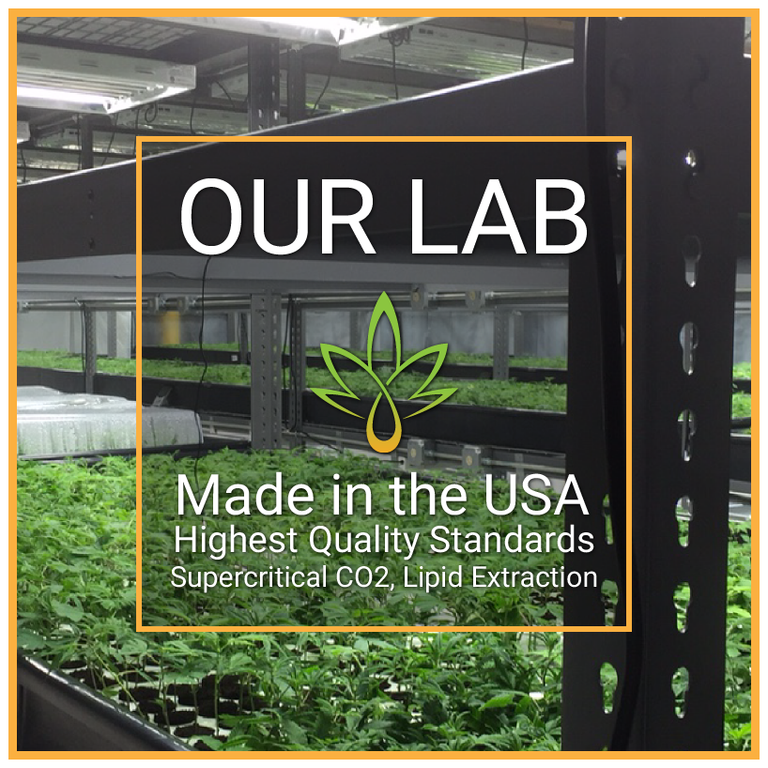 herbalxtracts's tweet photo. All of our products are created to the highest quality industry standards available!  

#HerbalExtracts #CBD #Oil http://t.co/mJhwbbY5Lo